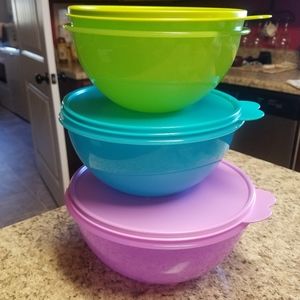 Tupperware Wonderlier 3-Piece Bowl Set
